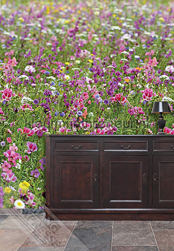Flowers in the field photomural ML234 Wallpaper Queen Behang Expresse
